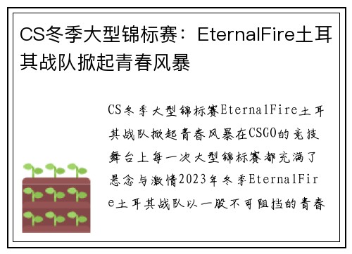 CS冬季大型锦标赛：EternalFire土耳其战队掀起青春风暴